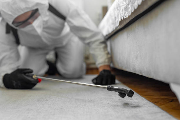 Professional Cockroach Control technician working in Pink, OK