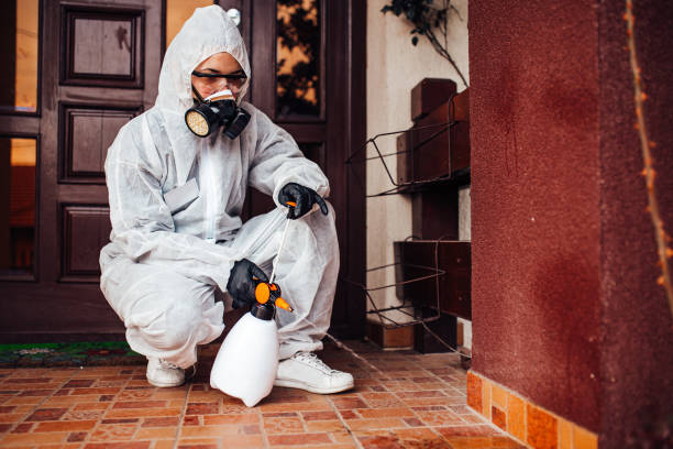 Reliable Cockroach Control contractor in Pink, OK by Nex Pest Control
